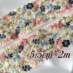 173 インド刺繍リボン　約5.5cm×2m