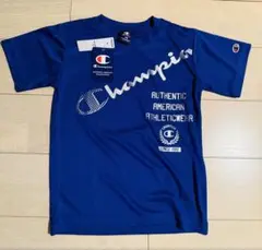 Item thumbnail for item 58845aa9-73aa-472b-b3cf-45ff66282c9b