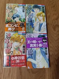 迷宮回廊 全4巻セット