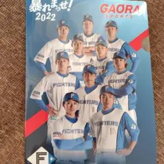 GAORA×日本ハムファイターズ　非売品クリアファイル☆新庄監督☆日ハム