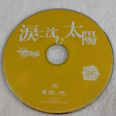 処分の市】AKB48 涙に沈む太陽 CD・DVDセット