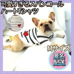 可愛すぎるボーダーTシャツM 犬服 犬の服 犬洋服 犬用品 ペット 犬Tシャツ