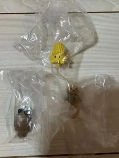 ヒグチユウコ　ガチャガチャ　 ツチグリぼうや　テアシオカヒトデ　アノマロ