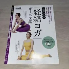 経絡ヨガポーズ図鑑