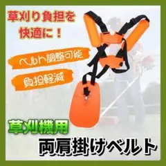 Item thumbnail for item 3035e105-1063-4b73-a458-15aebc2c21ce