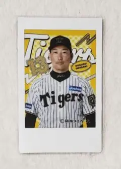 阪神タイガース☆岩崎優☆プリントチェキ☆ラッフル☆くじ☆D賞☆新品