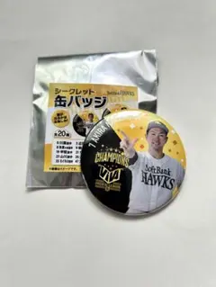 福岡ソフトバンクホークス リーグ優勝記念 シークレット缶バッチ　7 中村　晃選手
