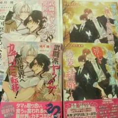 bl小説新刊セット