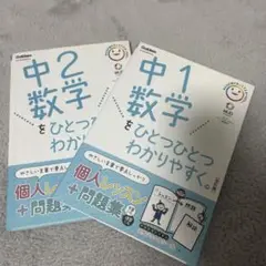 中1 中2数学をひとつひとつわかりやすく。2冊セット