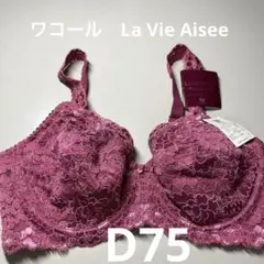 ワコール ラヴィエゼ プレミアムセレクション ブラ D75