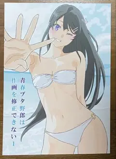 106C たむらみかん 青春ブタ野郎は作画を修正できない 1