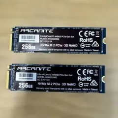 ARCANITE AKM22 256GB NVMe M.2 SSD