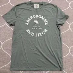 Abercrombie & Fitch グレー Tシャツ Sサイズ