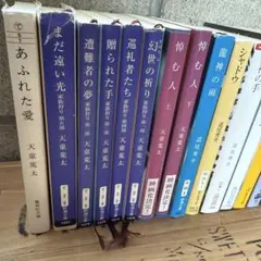 天童荒太8冊　道尾秀介7冊　まとめ売り15冊　男性作家様　文庫本