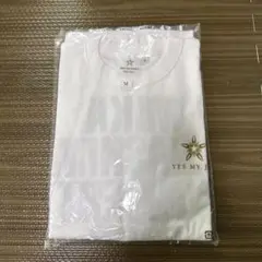 中島美嘉　tシャツ ライブツアー2007 tシャツ