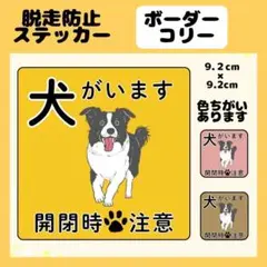 【ボーダーコリー】ステッカー　飛び出し注意　犬がいます　玄関　注意　脱走防止