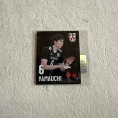 山内晶大選手 ステッカー 2025年バレーボール