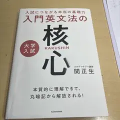 入門英文法の核心　関正男