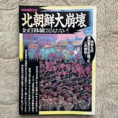 別冊宝島215 北朝鮮大崩壊 金正日体制はもうもたない！