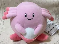 ポケットモンスター カラーセレクションぬいぐるみ ラッキー サニーゴ　キテルグマ