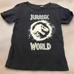ジュラシック・ワールド Tシャツ 110/116