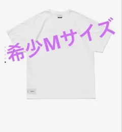wtaps 25ss FORTLESS / SS ホワイトM