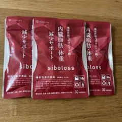 Item thumbnail for item 2ac148b8-4485-44bf-9ec4-02aeb4495246