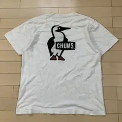 6.27 CHUMS チャムス ペンギン Tシャツ 半袖 ホワイト M