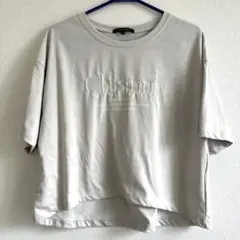 しまむら　Tシャツ Lサイズ　ベージュ　グレー