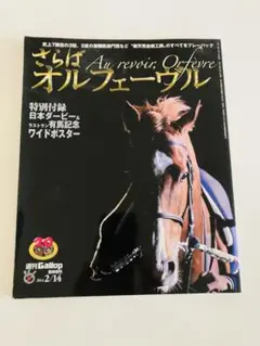 2025年最新】オルフェーヴル ポスターの人気アイテム - メルカリ