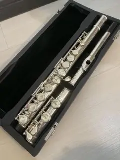 2025年最新】pearl pf 505の人気アイテム - メルカリ