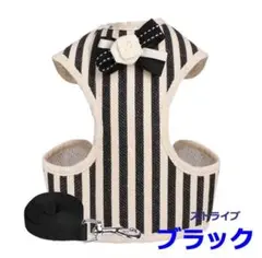 Item thumbnail for item 172ea1c8-9e98-495f-b848-963467208d90