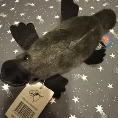 カモノハシのぬいぐるみ
