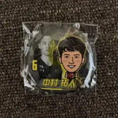 Item thumbnail for item 951b2964-cddf-403a-978f-0fd8767dba0a