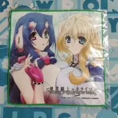 境界線上のホライゾン　メアリ 電撃屋【境界線上のホライゾン】 1/8 メアリ のご紹介です