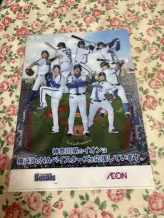 横浜DeNAベイスターズ クリアファイル