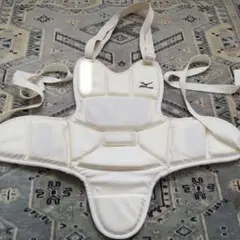 Mizuno 空手 防具 プロテクター Lサイズ