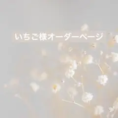 いちご様オーダーページ
