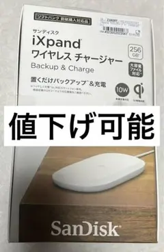 SanDisk SDIZ90N-256G