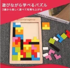 木製パズル 木のおもちゃ 頭を使う 脳トレ カラフル テトリス