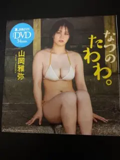 雑誌付録DVD　山岡雅弥　なつのたわわ。 DVD 34分