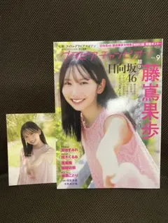 雑誌 グラビアチャンピオン VOL.9 日向坂46 藤嶌果歩 ポストカード付き