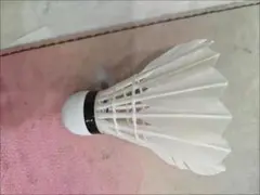 高品質シャトルコック ホワイト