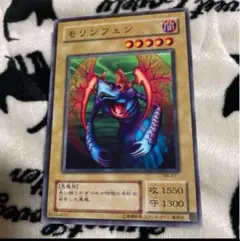 モリンフェン　2期