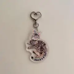 小菅幸子さん　猫イラスト アクリルキーホルダー