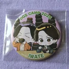 DGS CAMP 2025 くじ 缶バッジ D-6