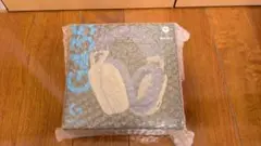 Item thumbnail for item 89274c9e-3371-4a3d-ab40-769da39e3a3f