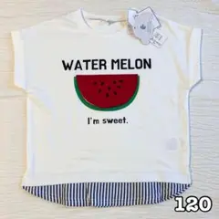コネクT すいか　Tシャツ　120