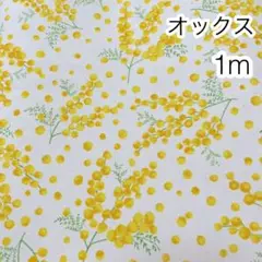 1m ミモザ 生成り オックス