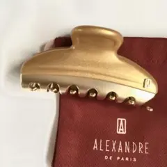 新品未使用 アレクサンドルドゥパリ ヘアクリップ ヴァンドーム ベージュ